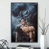 S10e3046a5f2a46cf989d96da00f4c37cl - Dragon Ball Daima Store